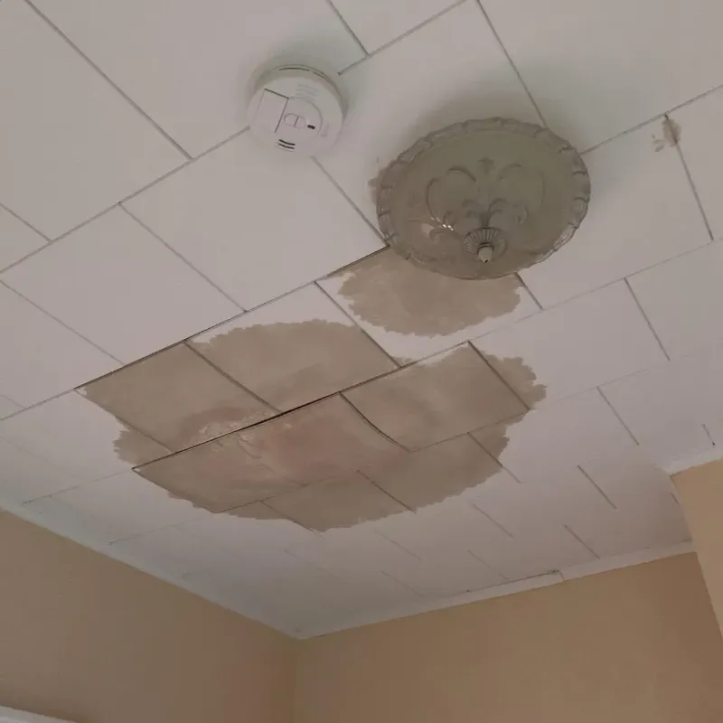 Ceiling Water Damage Repair in Hudson, IA
