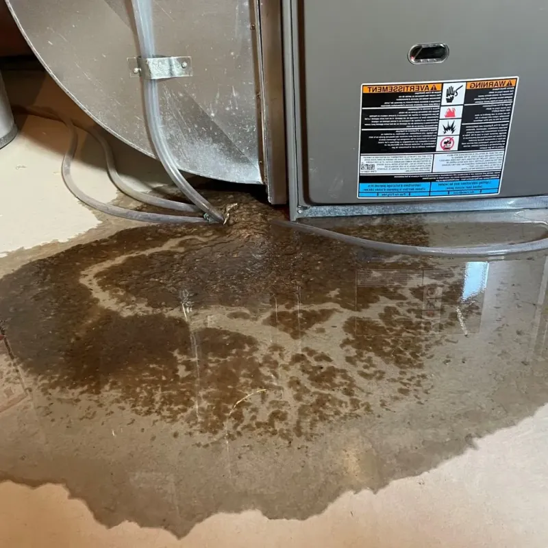 Pipe Burst and Leak Restoration in Hudson, IA