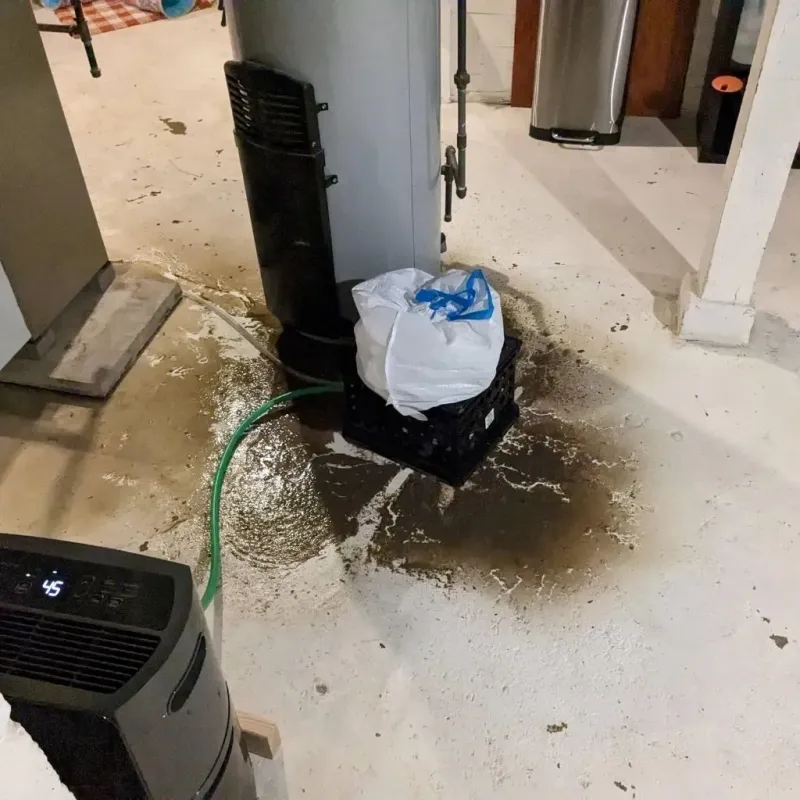 Sewage Backup Cleanup Service in Hudson, IA